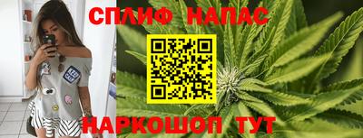 стаф Малгобек