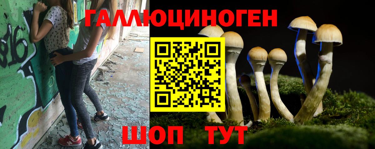 Псилоцибиновые грибы ЛСД Великие Луки